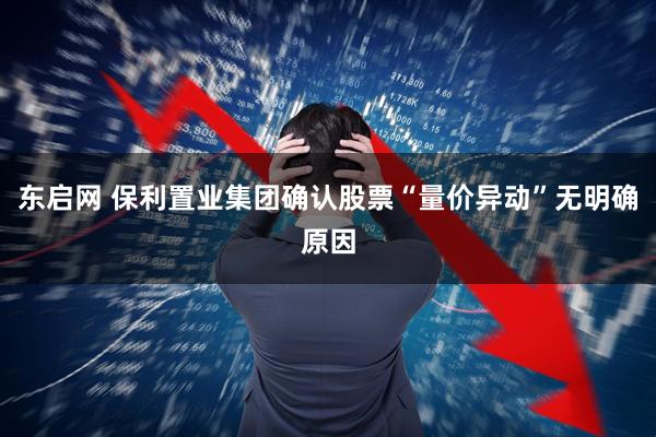 东启网 保利置业集团确认股票“量价异动”无明确原因