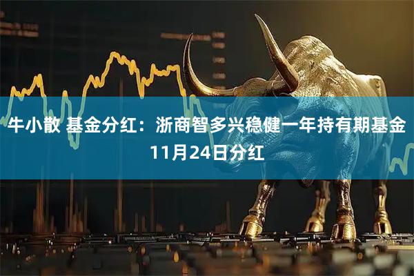 牛小散 基金分红:浙商智多兴稳健一年持有期基金11月24日分红