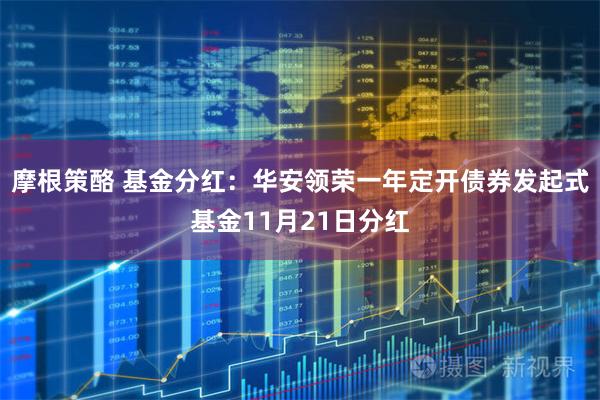 摩根策酪 基金分红:华安领荣一年定开债券发起式基金11月21日分红