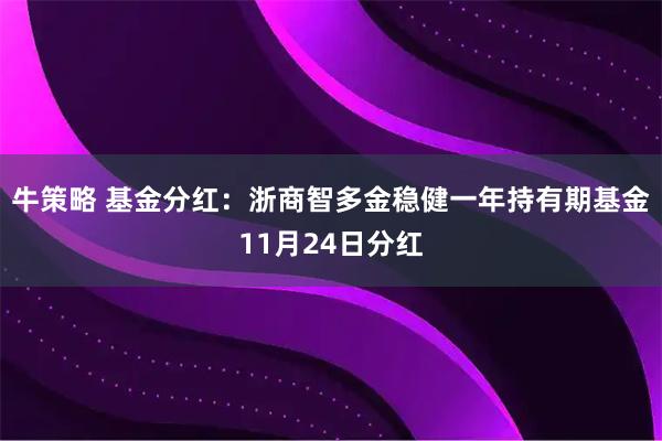 牛策略 基金分红:浙商智多金稳健一年持有期基金11月24日分红
