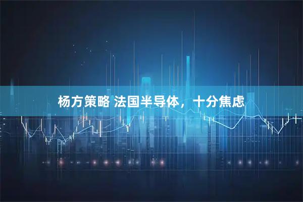 杨方策略 法国半导体,十分焦虑