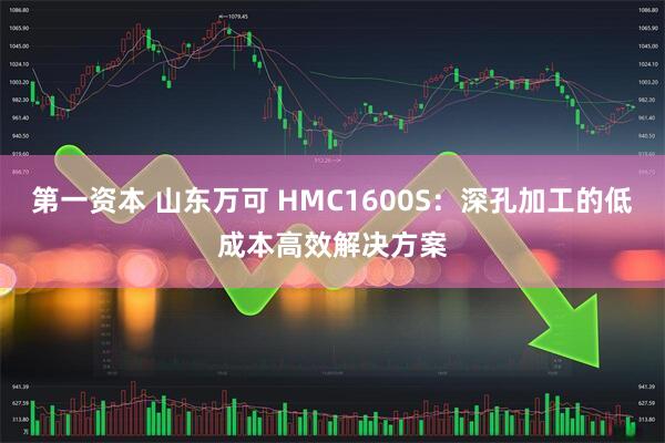 第一资本 山东万可 HMC1600S：深孔加工的低成本高效解决方案